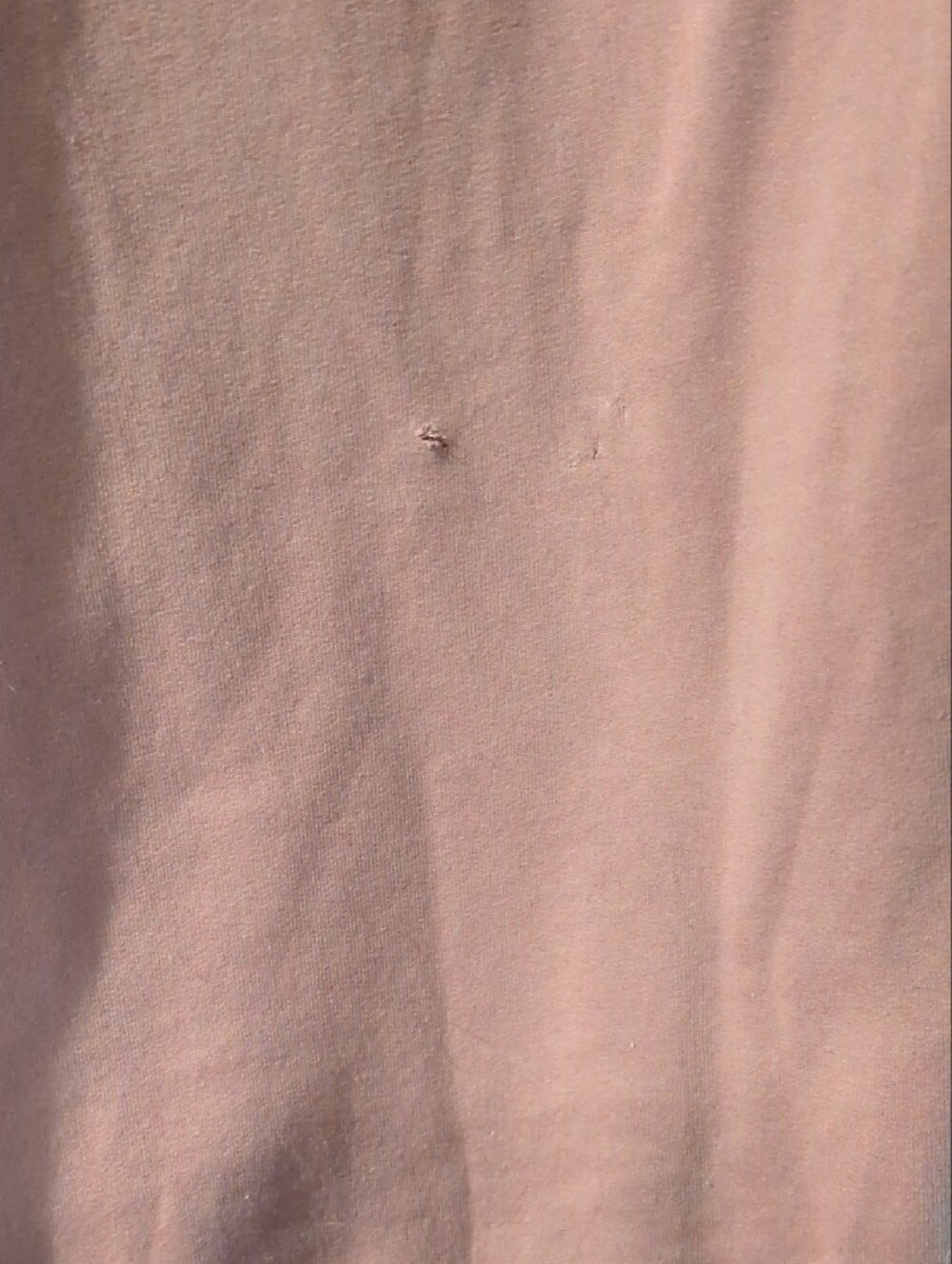 Women's Cabela's Sweatshirt Size Small - Picture 3 of 3